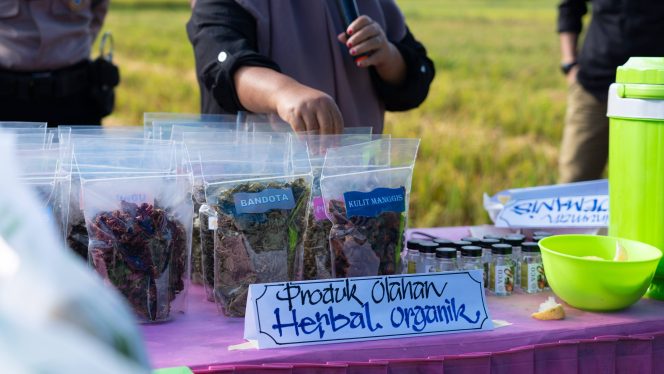 
 Produk olahan tanaman herbal.