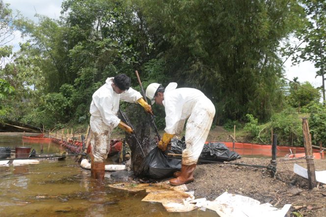 
 Proses pembersihan tumpahan minyak di Towuti.
