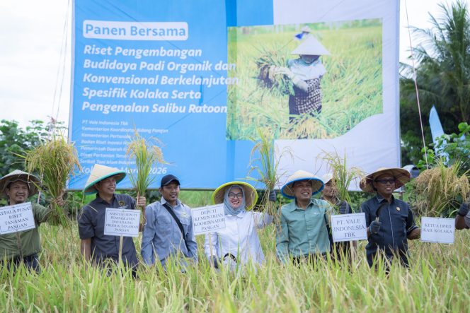 
 Dukung Asta Cita Presiden dan SDGs Ketahanan Pangan, PT Vale Panen Bersama Demplot Padi Berkelanjutan di Kolaka