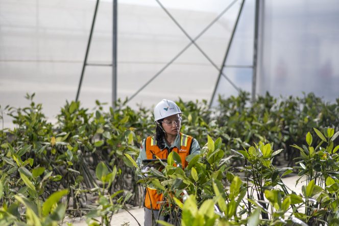 
 Menavigasi Tantangan, Menghadirkan Dampak: Perjalanan ESG PT Vale Menguat pada 2025