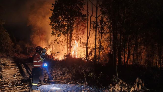
 GAKKUM: Petani Wajib Patuh Aturan Penggunaan Kawasan Hutan